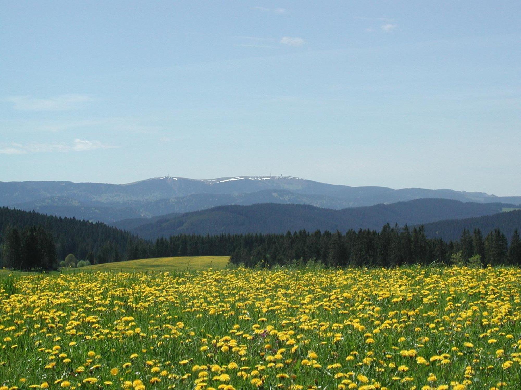 Cafe-Pension Feldbergblick Titisee-Neustadt Exteriör bild