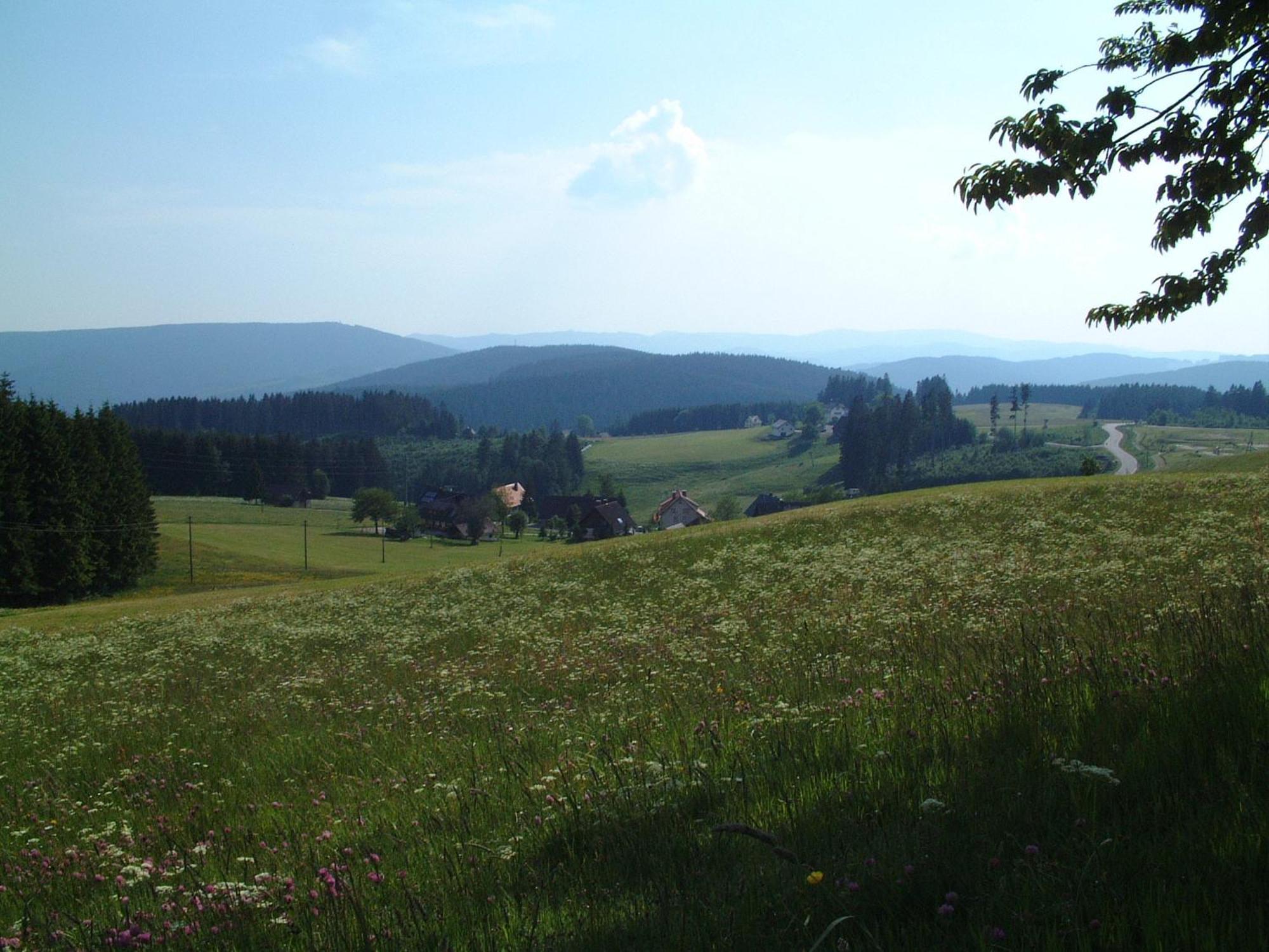 Cafe-Pension Feldbergblick Titisee-Neustadt Exteriör bild