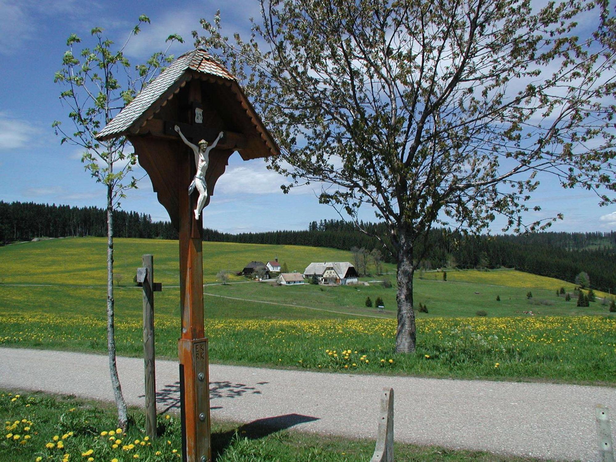 Cafe-Pension Feldbergblick Titisee-Neustadt Exteriör bild